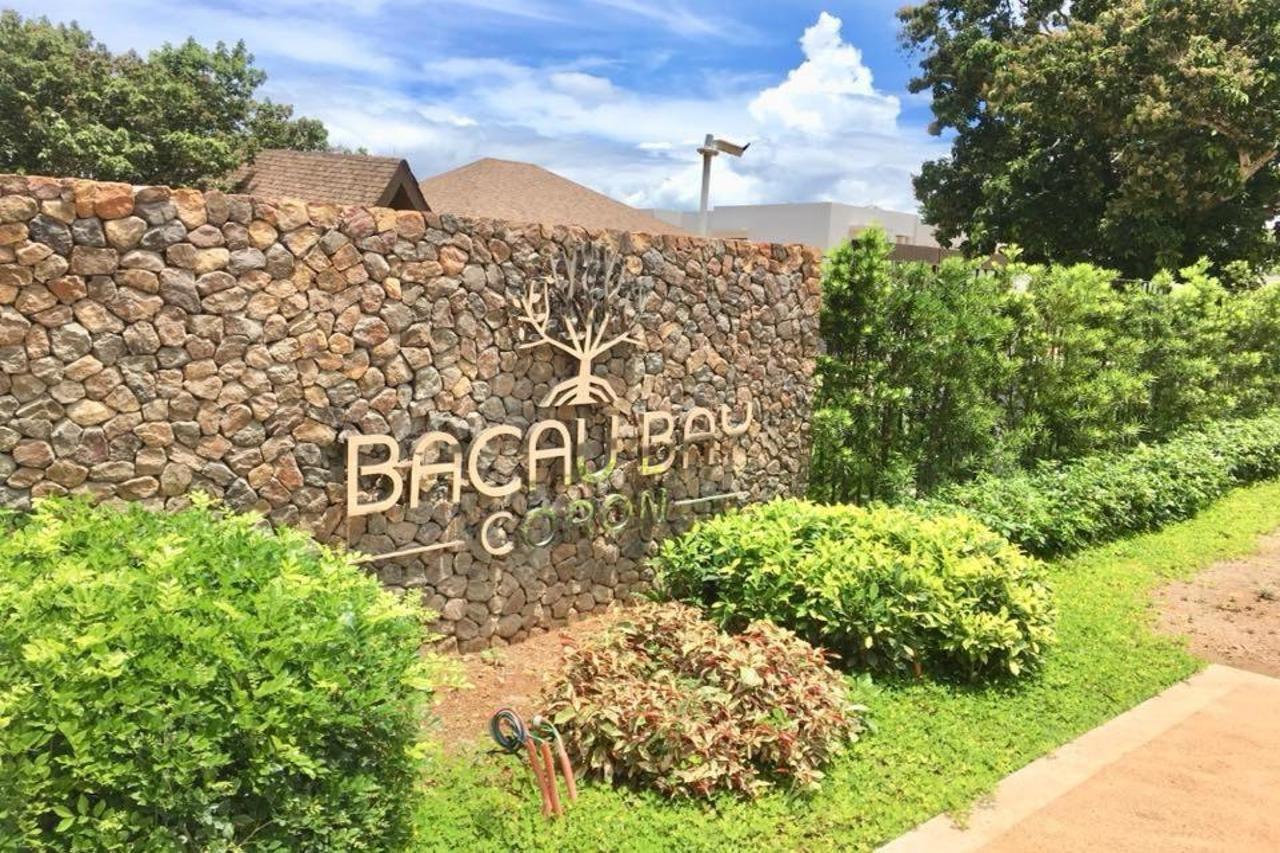 Bacau Bay