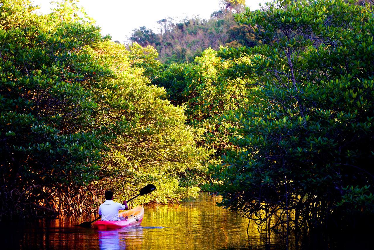 Bacau Bay Coron